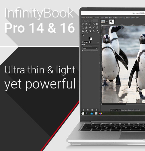 InfinityBook Pro - Gen8