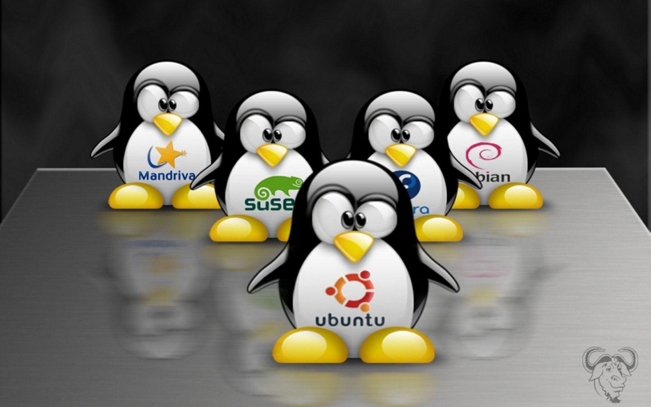 Verschiedene Linux-Betriebssysteme zur Auswahl