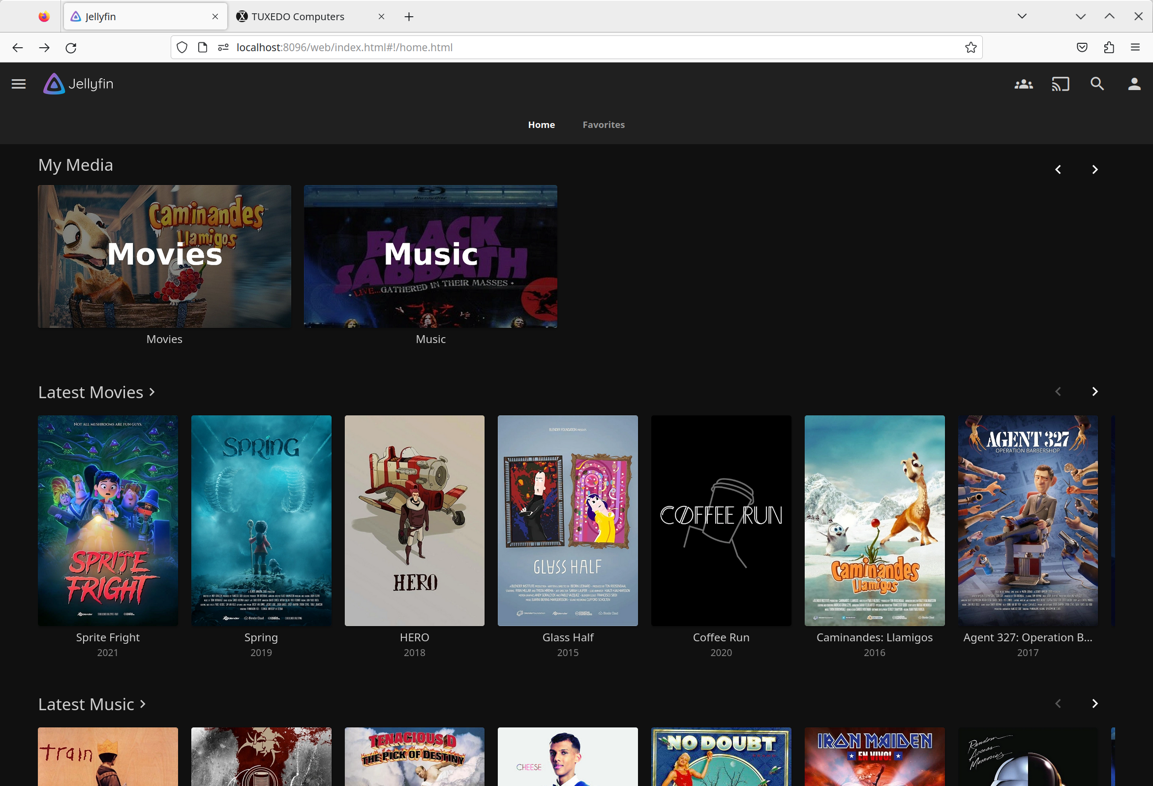 After integrating the media sources, Jellyfin displays the content found in the overview. Jellyfin automatically loads the metadata from the network.