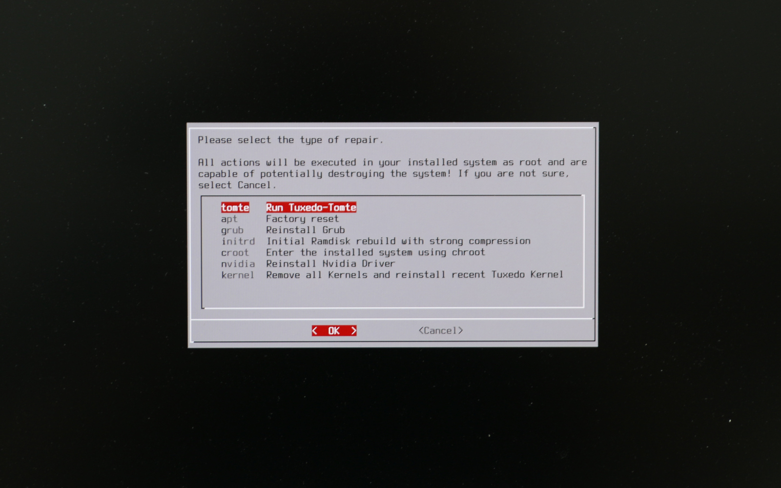 For the Automatic System Repair functions boot from the TUXEDO-WebFAI-Stick.