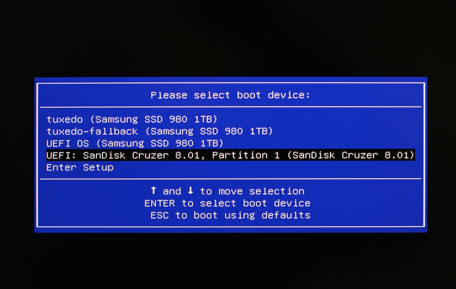 In the boot menu, use the arrow keys to select the desired drive and start from it by pressing Enter.