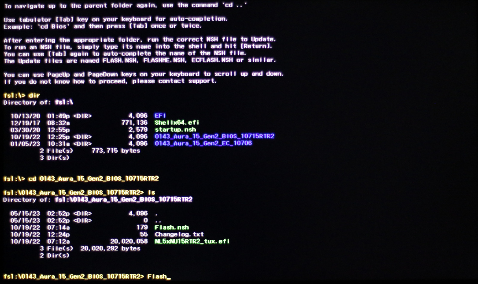 Start the EC/BIOS update by running the appropriate flash file. In this example, the file is named <kbd>Flash.nsh</kbd> or simply <kbd>Flash</kbd>.