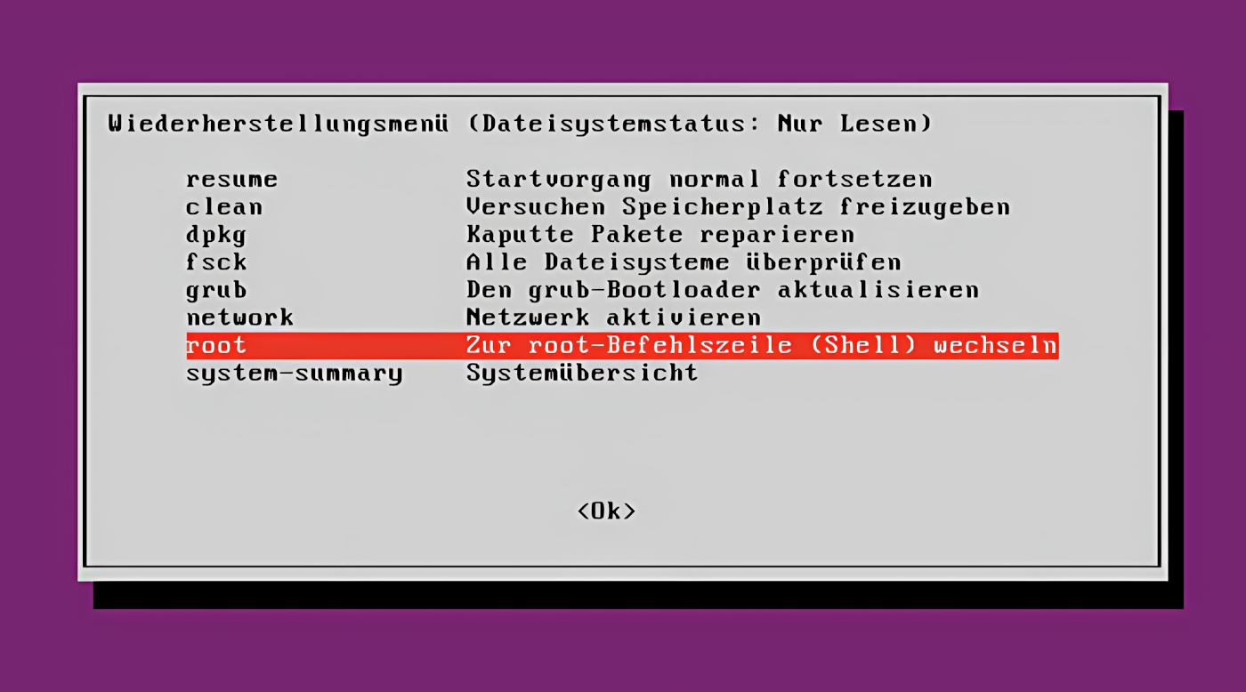 Das Wiederherstellungsmenü bietet verschiedene Funktionen zur Reparatur des Systems. Im Folgenden benötigen Sie die Root-Shell.