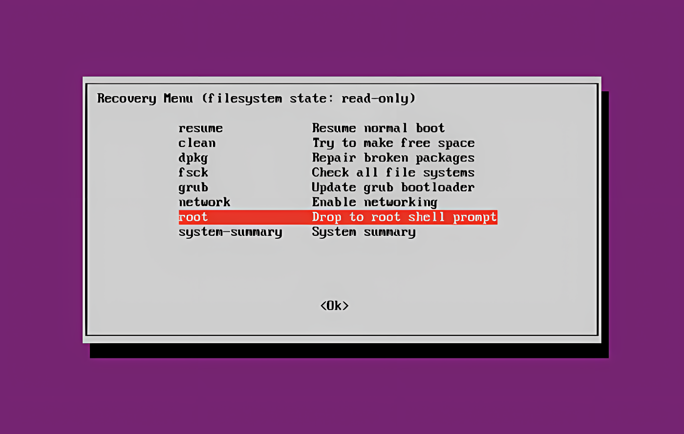 The recovery menu offers various functions for repairing the system. In the following you need the root shell.