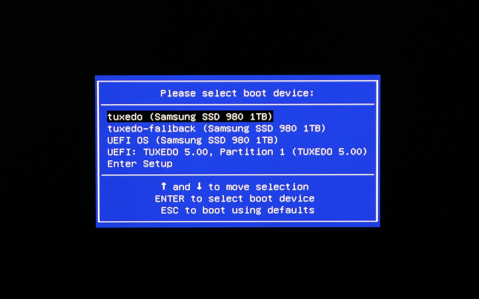 In the boot menu of the computer you choose from which medium you want to boot. The dialog is important if you want to boot from the TUXEDO-WebFAI-Stick for example.