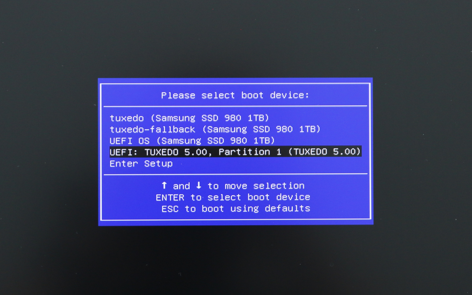 In the boot menu of the laptop you select the WebFAI stick. Usually recognizable by the label “TUXEDO”.