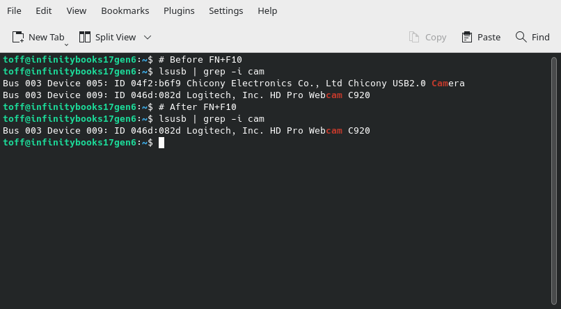 After deactivating the webcam hardware via <kbd>FN</kbd>+<kbd>F10</kbd>, the TUXEDO OS system no longer sees the internal camera (from Chicony Electronics.)