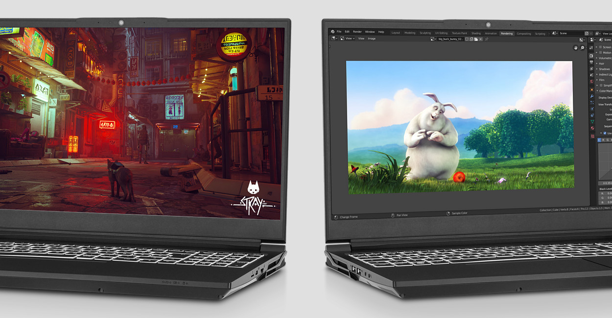 TUXEDO Gemini 17 Gaming and Workstation