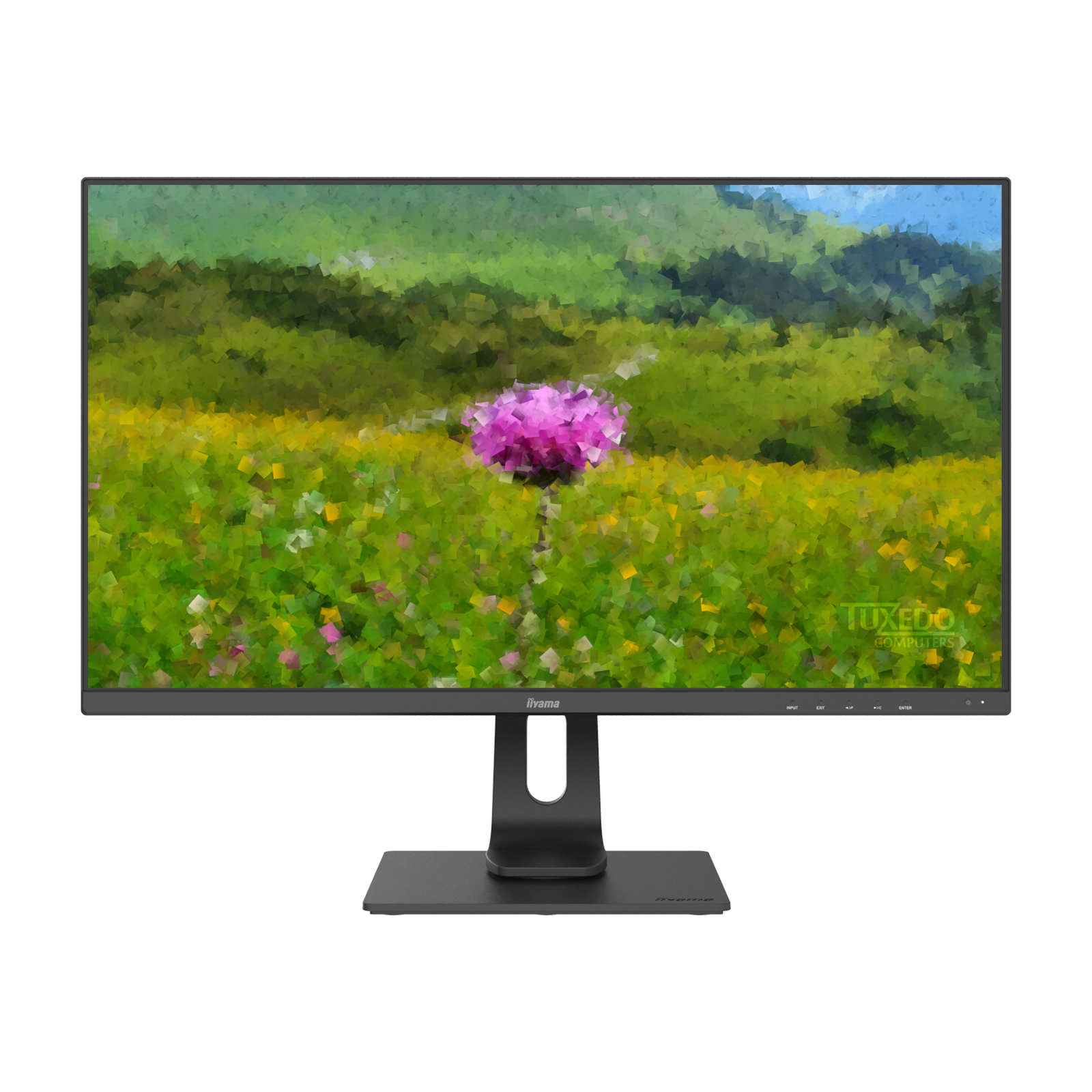 28" LCD display IIYAMA 4K HDMI DisplayPort USBHub Audio 28