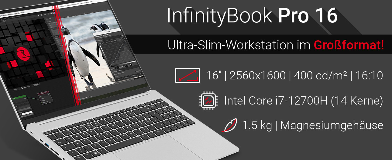 Banner InfinityBook Pro 16 - Gen7